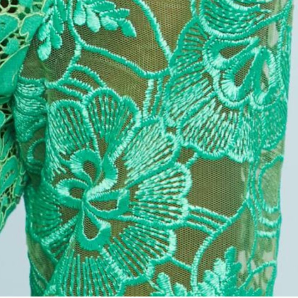 Plenty by Tracey Reese for Anthropologie Angelica Lace Midi dress - Picture 5 of 12